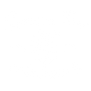 SUMMER TEES WHOLESALE